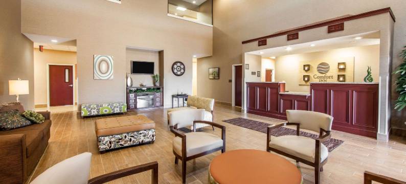 舒适酒店-莱星顿南(Comfort Inn Lexington South)图片