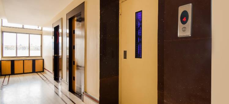 Super Collection O Meera International图片