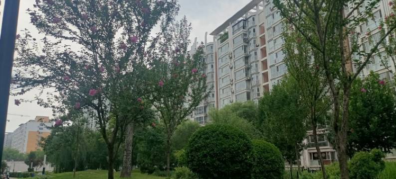 慧语公寓(建设北路分店)图片