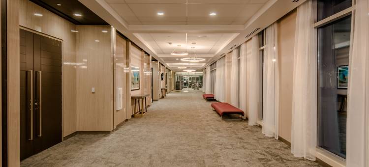 达拉斯爱田雅乐轩酒店(Aloft Dallas Love Field)图片