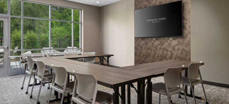 拉马祖港口春希尔套房酒店(SpringHill Suites Kalamazoo Portage)图片