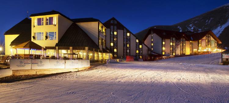 帕兰多肯德德曼度假村(Dedeman Palandoken Resort Hotel)图片