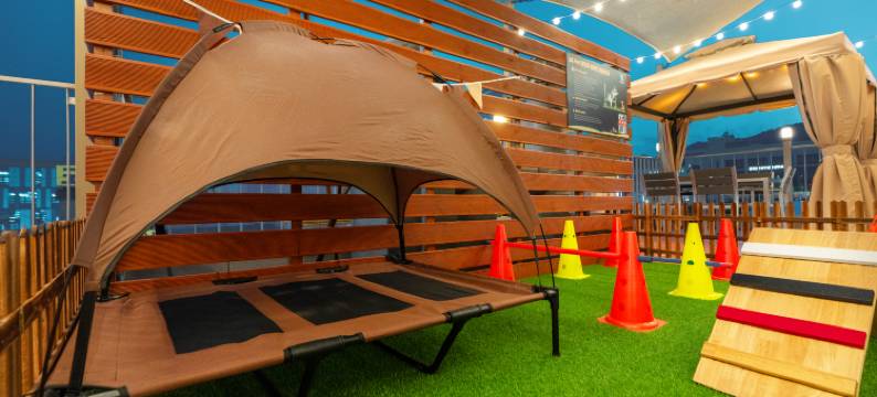 原州伊普达酒店(Wonju Ippda Hotel)图片