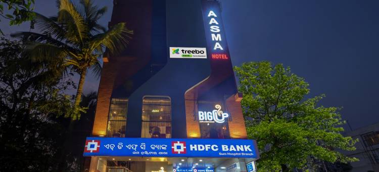 Treebo 阿斯玛市中心(Treebo Aasma Downtown)图片