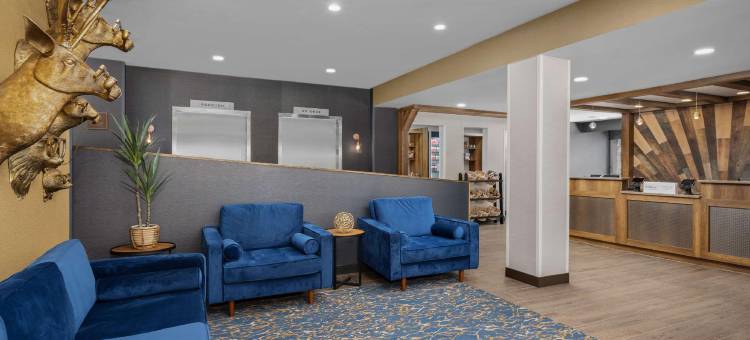 堪萨斯城韦斯特波特酒店，希尔顿启缤精选(Hotel Westport Kansas City, Tapestry Collection by Hilton)图片