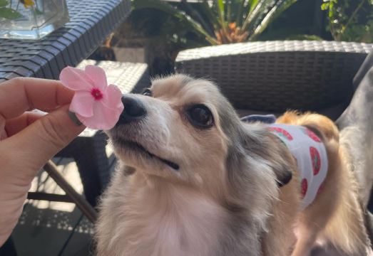 Kazemachi Onjuku Raimuya Hotel Overview