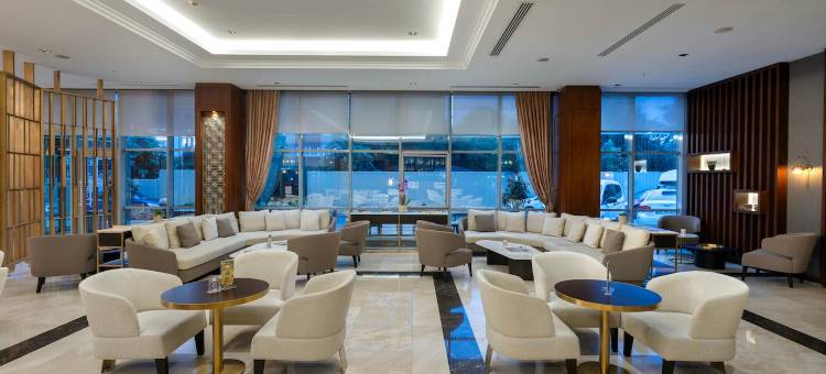 伊斯坦布尔亚洲机场奇迹水疗酒店(Miracle Istanbul Asia Airport Hotel & Spa)图片