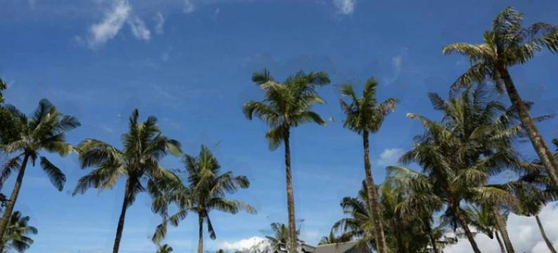 花莲寿丰怡园渡假村图片