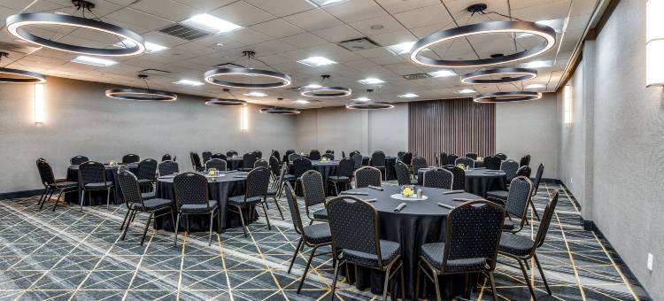 达拉斯市场中心爱田假日酒店(Holiday Inn DALLAS MARKET CTR LOVE FIELD by IHG)图片