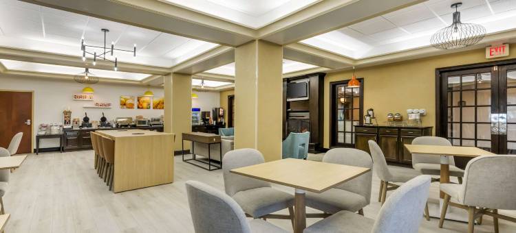 切斯特顿舒适套房酒店(Comfort Inn & Suites Chestertown)图片