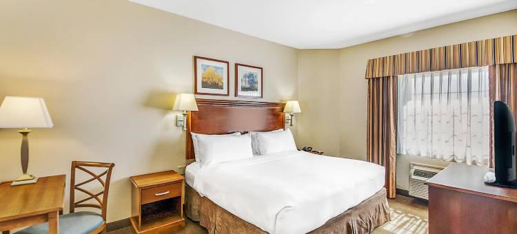 Candlewood Suites 朗维尤by IHG(Candlewood Suites Longview)图片