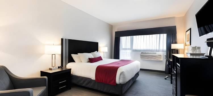 雷迪森帕克酒店 - 埃德蒙顿机场(Park Inn by Radisson Edmonton Airport)图片