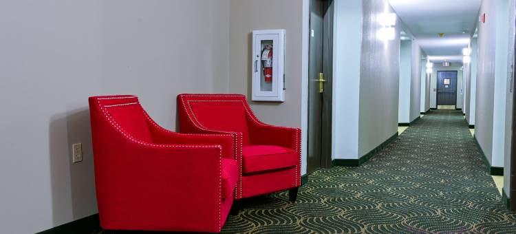 海波因特-格林斯波罗温德姆速8酒店(Super 8 by Wyndham High Point/Greensboro)图片