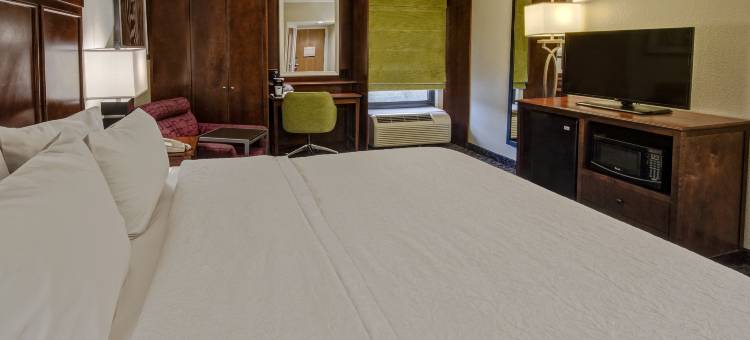 希尔顿欢朋酒店-夏洛特马修斯(Hampton Inn Charlotte/Matthews)图片