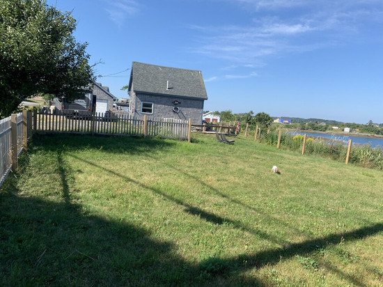 World’s highest tides! Pet friendly, bay front cottage with huge fenced yard.