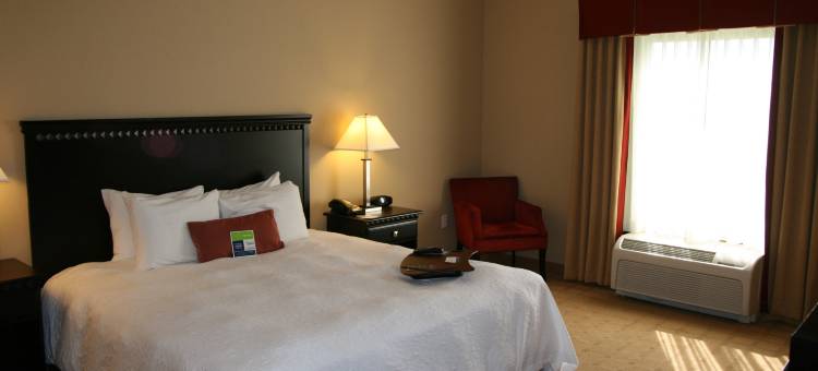 希尔顿欢朋酒店-达德市泽弗希尔斯(Hampton Inn Dade City - Zephyrhills)图片