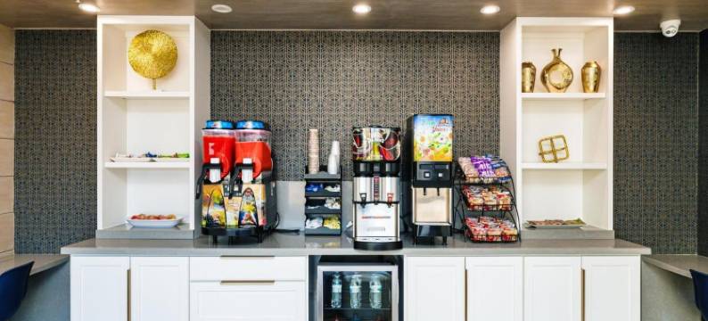 蓝宫酒店东IAH(Palace Inn Blue IAH East)图片