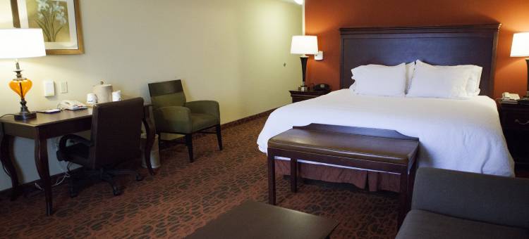 罗彻斯特-韦伯斯特欢朋酒店(Hampton Inn Rochester-Webster)图片