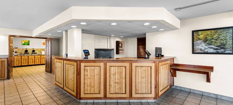 凯艺套房酒店-多雷伍道(Quality Inn & Suites at Dollywood Lane)图片