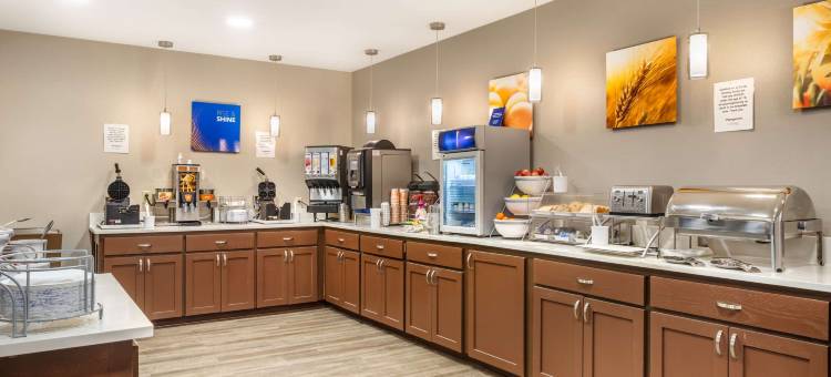 康威舒适套房酒店(Comfort Inn & Suites Conway)图片