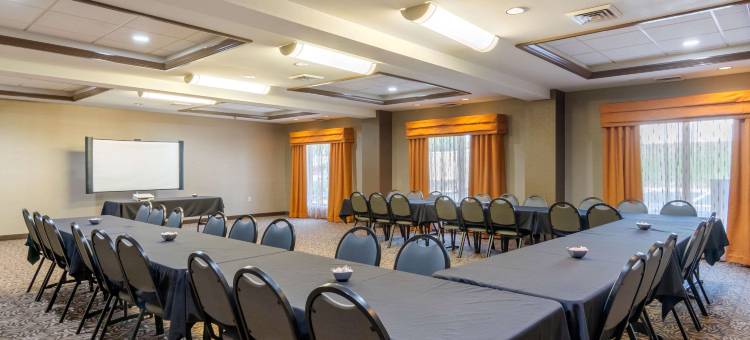 南方公园舒适套房酒店(Comfort Suites Southpark)图片