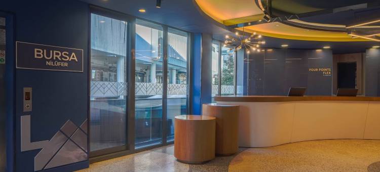 福朋精选喜来登布尔萨尼吕费尔(Four Points Flex by Sheraton Bursa Nilufer)图片