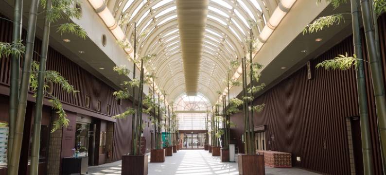 京都竹之乡温泉 万叶之汤 酒店 京都艾米纳斯(Hotel And Spa Kyoto Eminence)图片