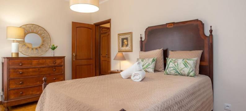 Rent4all的Vizo 31(Vizo 31 by Rent4All)图片