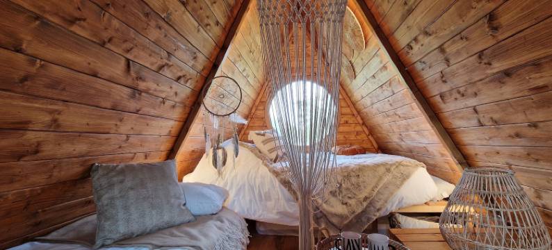 柳树的呼吸(Le Souffle du Saule)图片