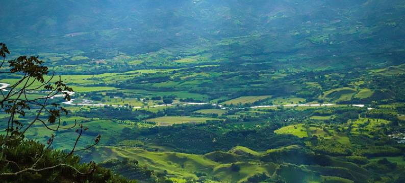 瓜亚卡内斯村舍酒店(Finca Hotel Los Guayacanes)图片