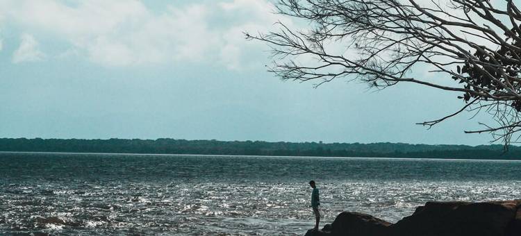 Aly da Costa工作室客栈(Pousada Atelier Aly da Costa)图片