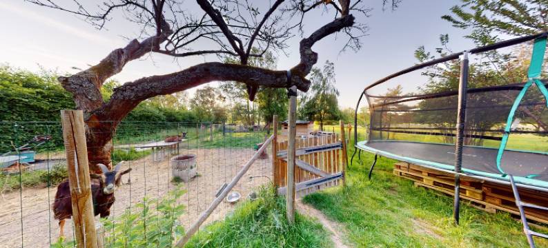 柳树的呼吸(Le Souffle du Saule)图片