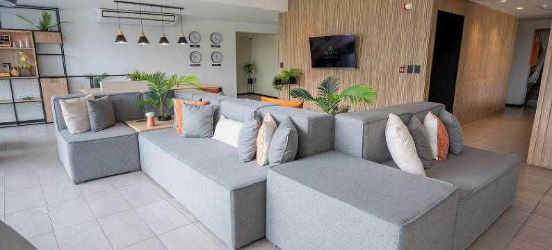 圣米格尔帕尔梅托商务酒店(Palmetto Hotel Business San Miguel)图片