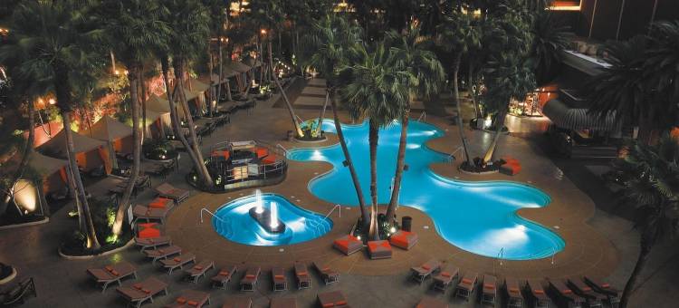 拉斯维加斯金银岛-TI酒店及娱乐场(Treasure Island – TI Las Vegas Hotel  & Casino)图片