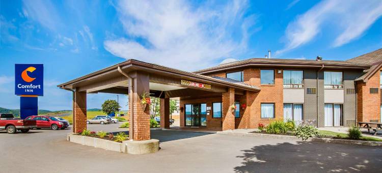 舒适酒店(Comfort Inn)图片