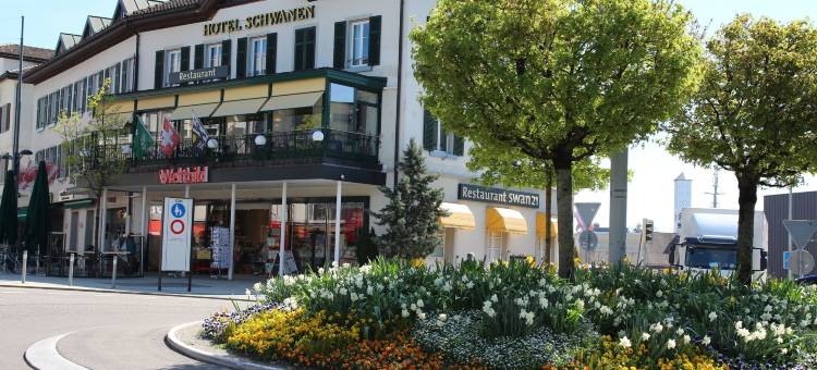 施瓦恩维尔酒店(Hotel Schwanen Wil)图片