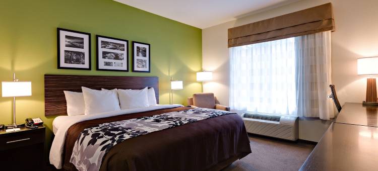 贾斯珀I-22舒眠套房酒店(Sleep Inn & Suites Jasper I-22)图片