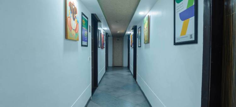 Treebo 双树(Treebo Twin Tree)图片