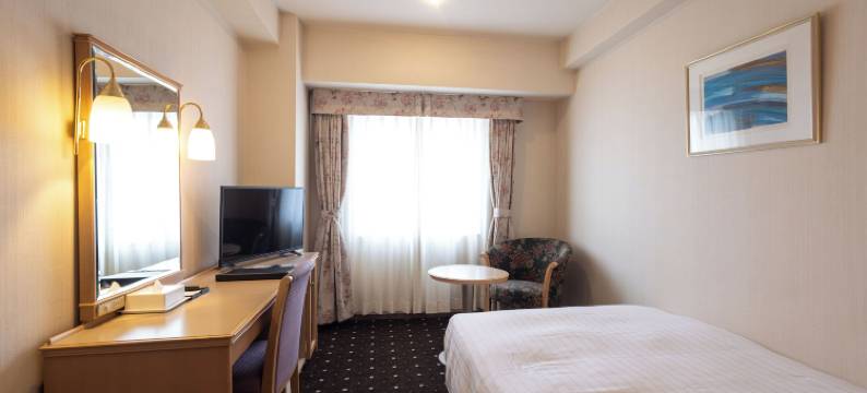 阿尔扎泉大津市埃尔斯特湖酒店(Hotel Lake Alster Alza Izumiotsu)图片