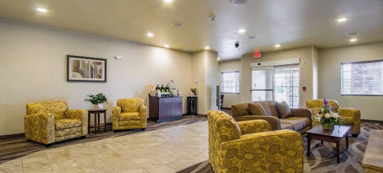 鹅卵石酒店及套房 - 奥尔维尔(Cobblestone Hotel & Suites - Orrville)图片