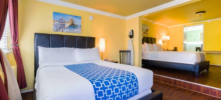 飞马国际酒店(Pegasus International Hotel)图片