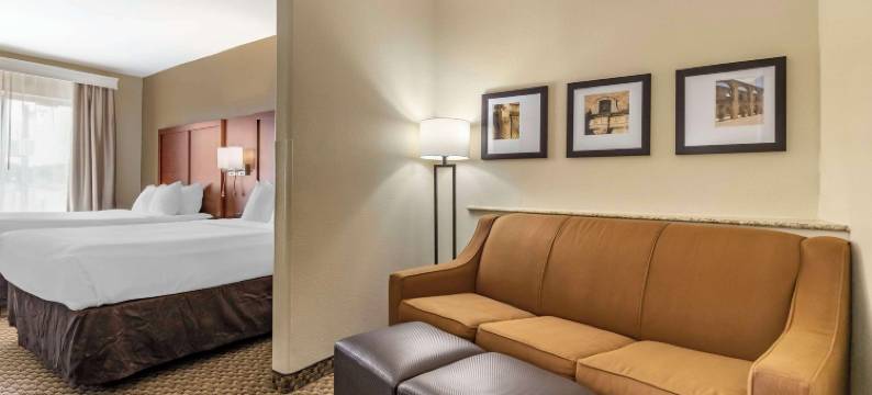 舒适套房酒店-医学中心近六旗(Comfort Suites Medical Center Near Six Flags)图片