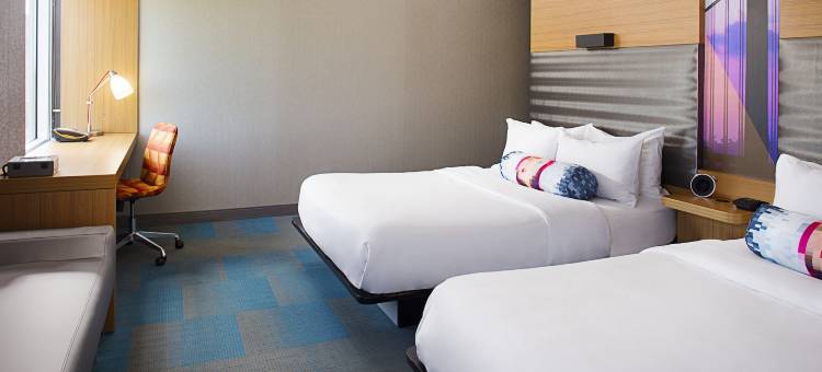 费城机场雅乐轩酒店(Aloft Philadelphia Airport)图片