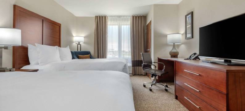 舒适套房酒店(Comfort Inn & Suites)图片