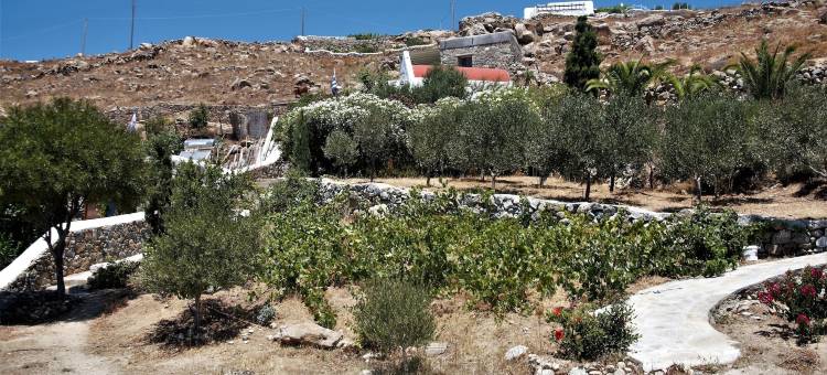 米科诺斯穆萨酒店(Mykonos Moussa)图片