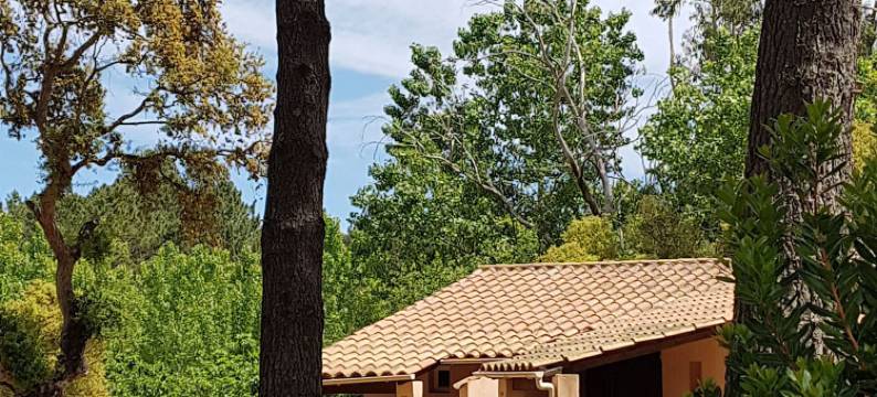 海湾公园住宅酒店(Hotel les Pavillons du Golfe)图片