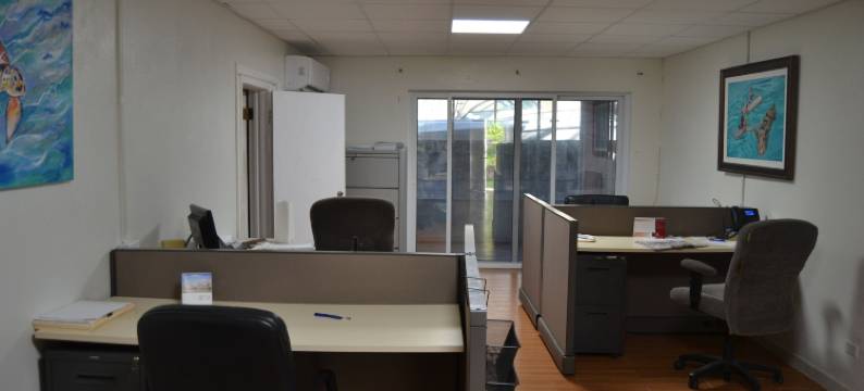 航道公寓(Waterway Condos)图片