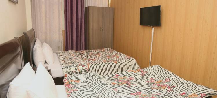 瑞士小屋华丽生活酒店(Swiss Cottage Hotel)图片