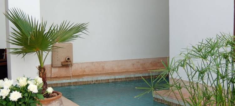里亚德亚普住宿加早餐旅馆(Riad up)图片