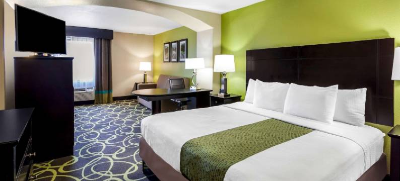 纽布朗费尔斯拉昆塔温德姆套房酒店(La Quinta Inn & Suites by Wyndham New Braunfels)图片